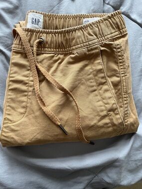 GAP Men's Essential Brown Jogger Pants XS
